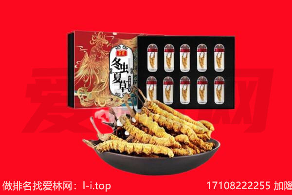 孝昌县回收虫草.jpg